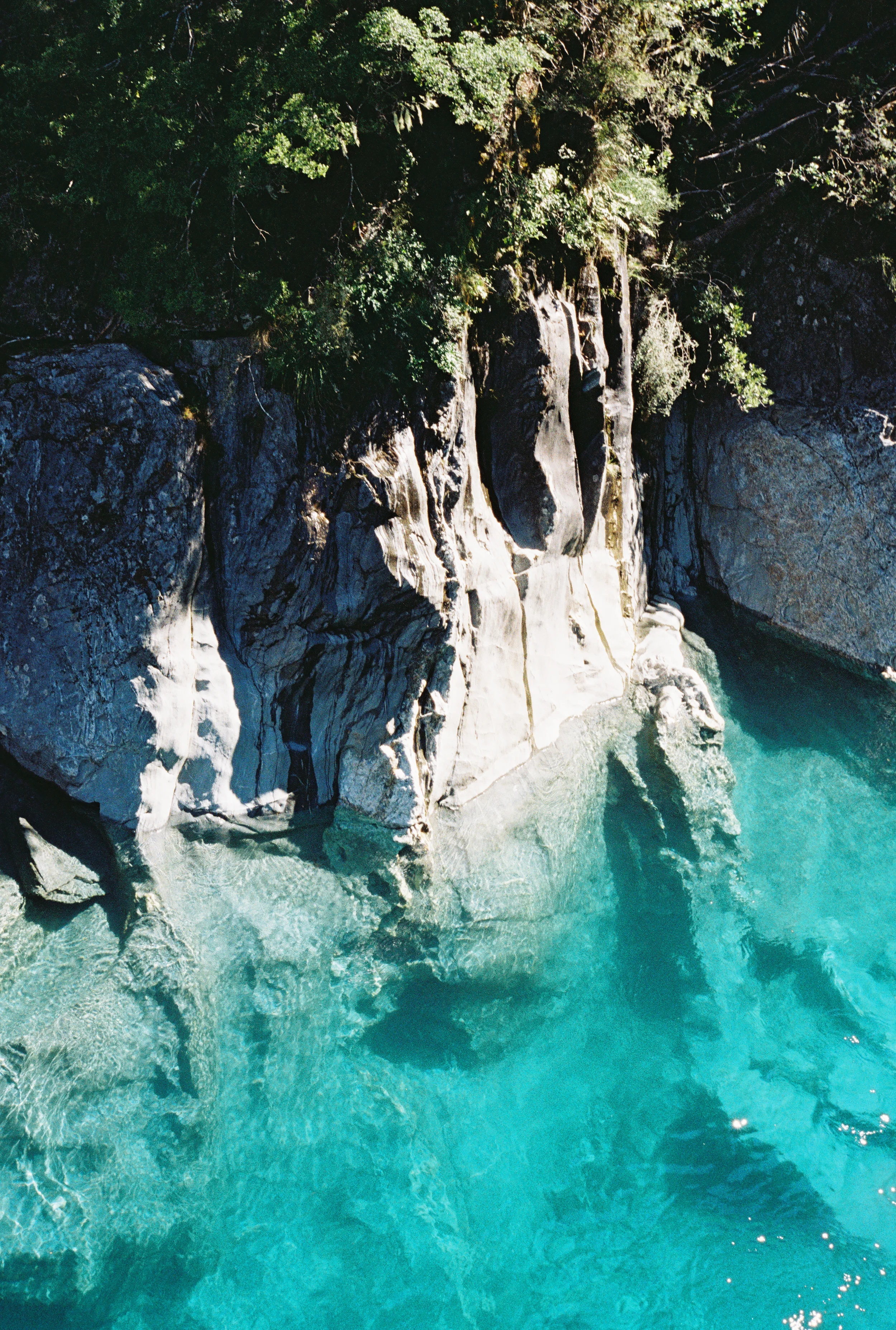 MAKARORA BLUE POOLS, NZ • CONTAX T2 • KODAK GOLD 200