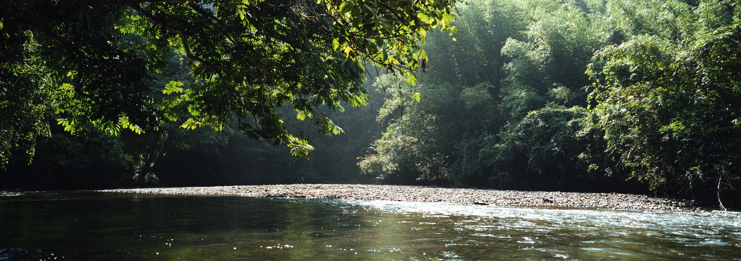 MULU NAT'L PARK, MALAYSIA • HASSELBLAD XPAN • KODAK GOLD 200