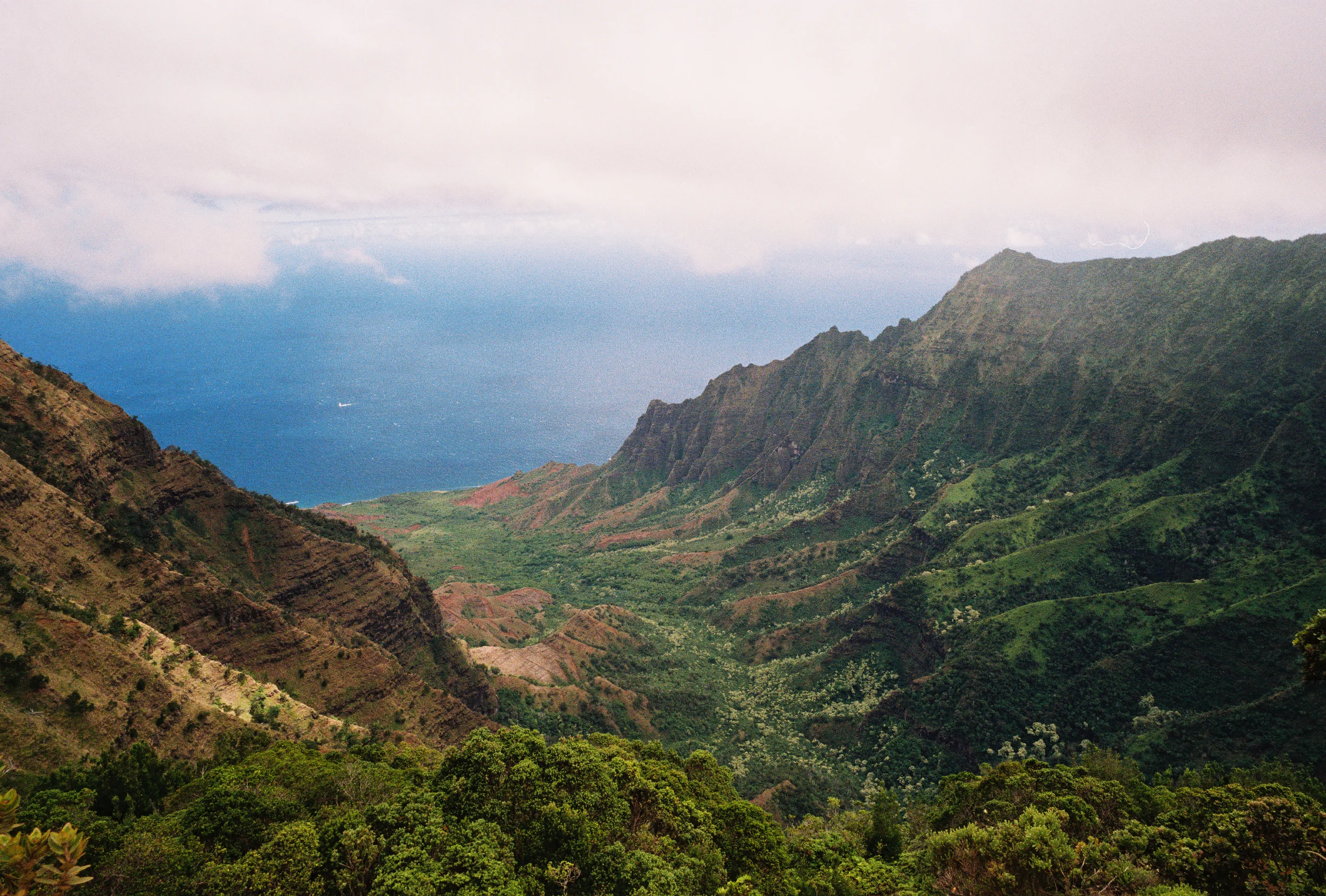 PU'U O KILA LOOKOUT, KAUAI, HI • CONTAX G2 • KODAK GOLD 200