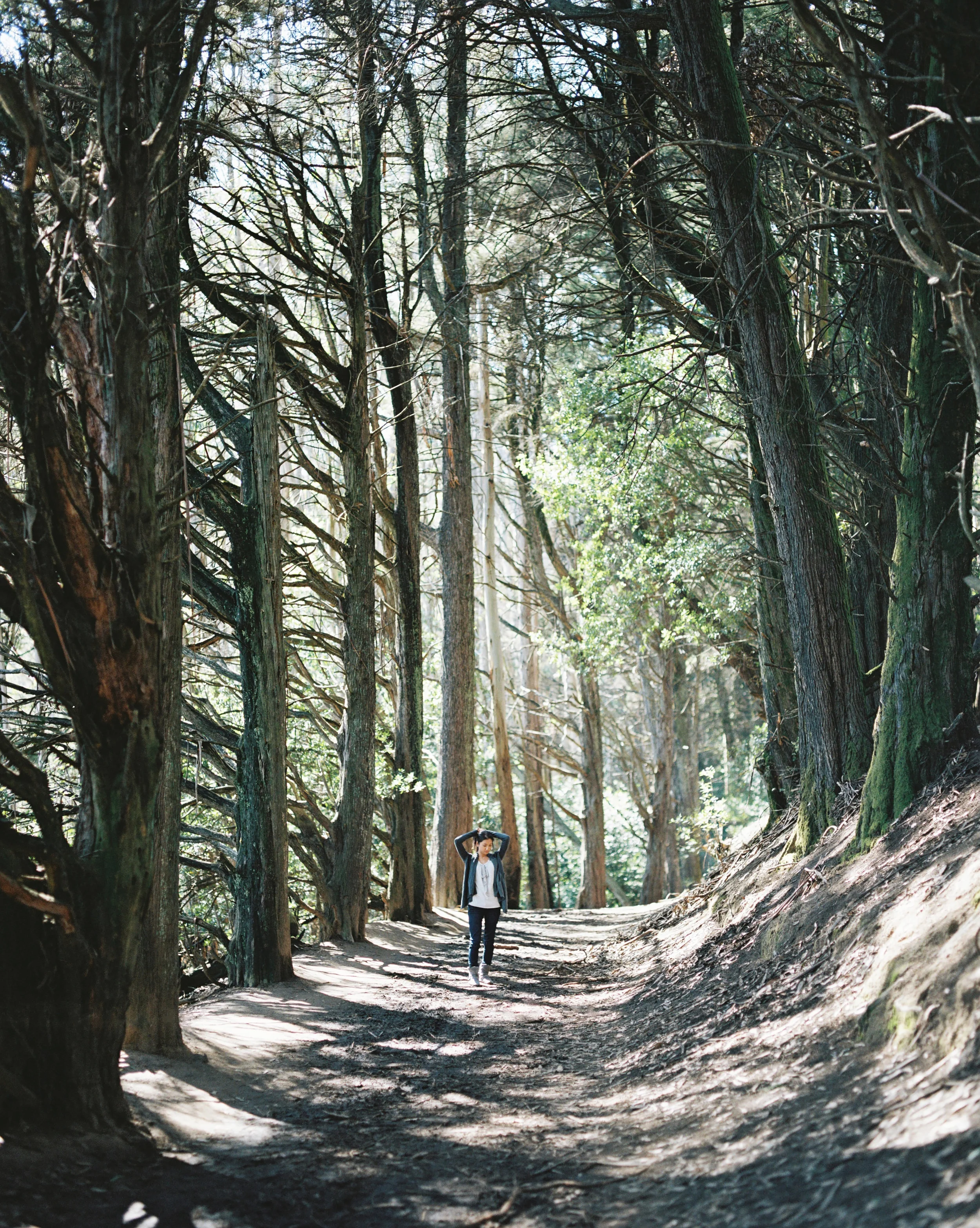 BIG SUR, CA • PENTAX 67II • KODAK PORTRA 400
