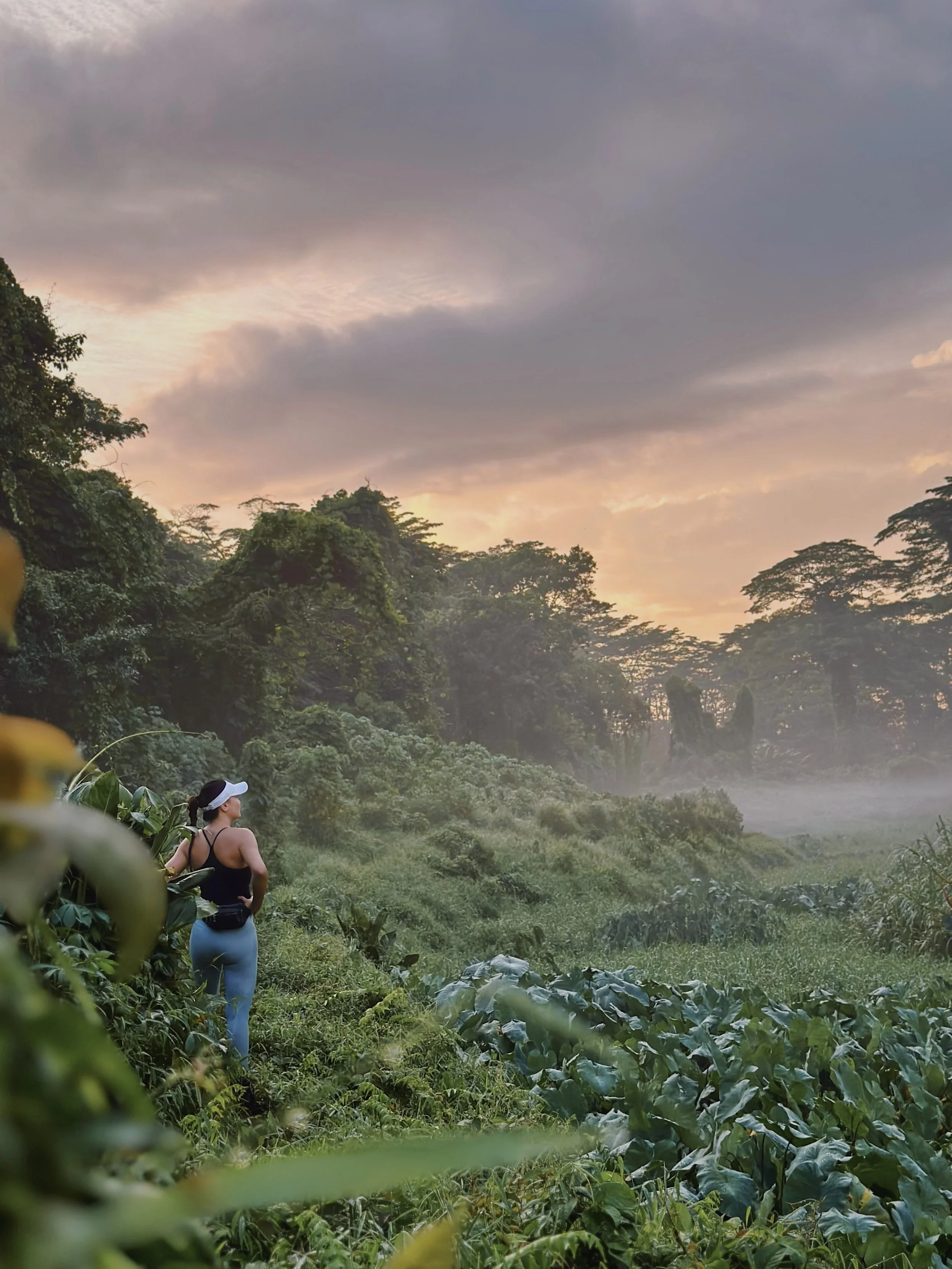 SingaporeHike.jpg
