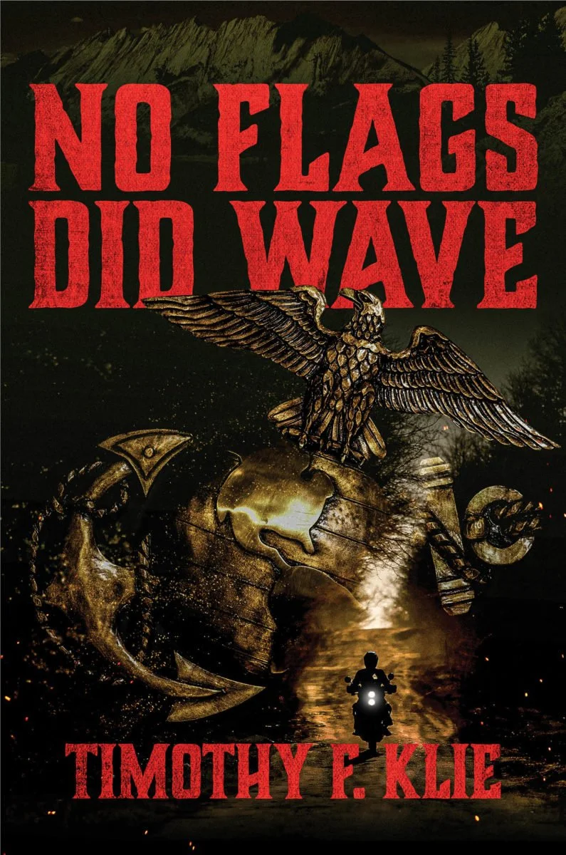 no-flags-did-wave-cover.jpg