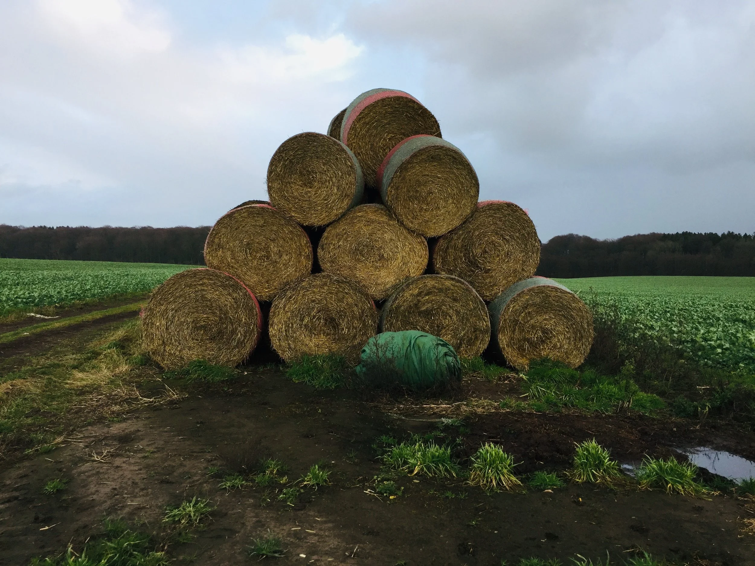 Strohballen Haufen