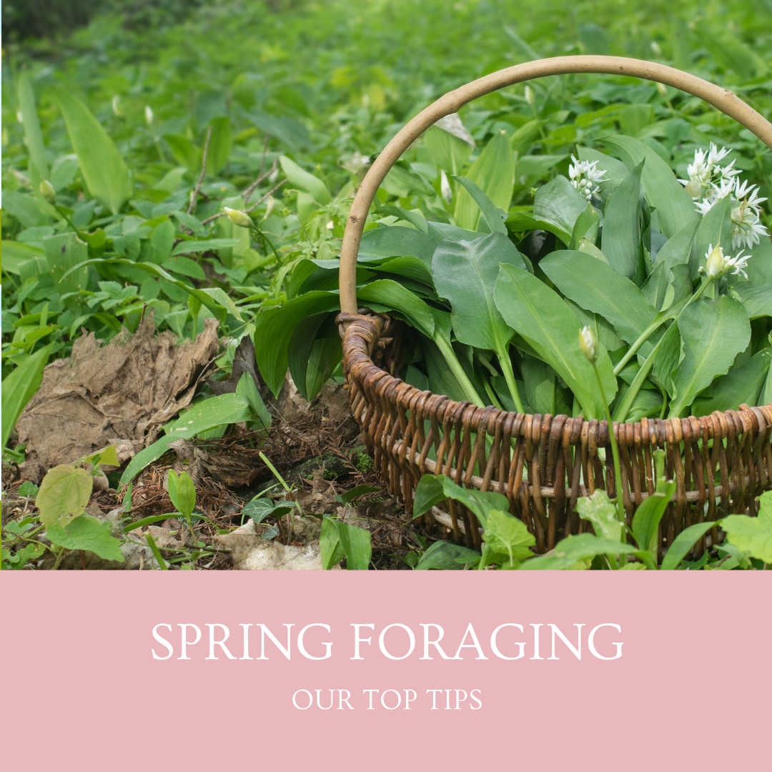 Our spring foraging top tips