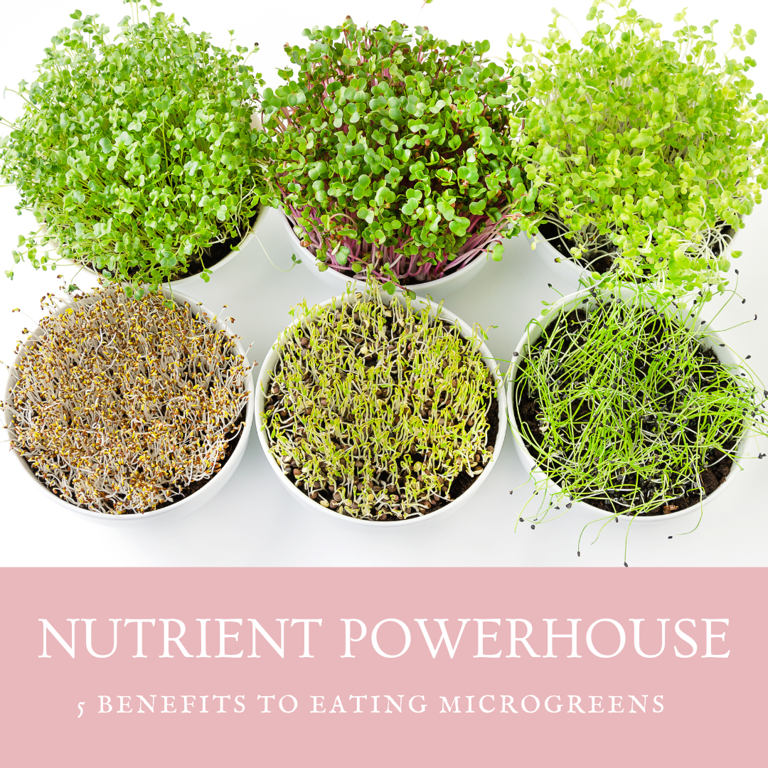 5 benefits to eating microgreens