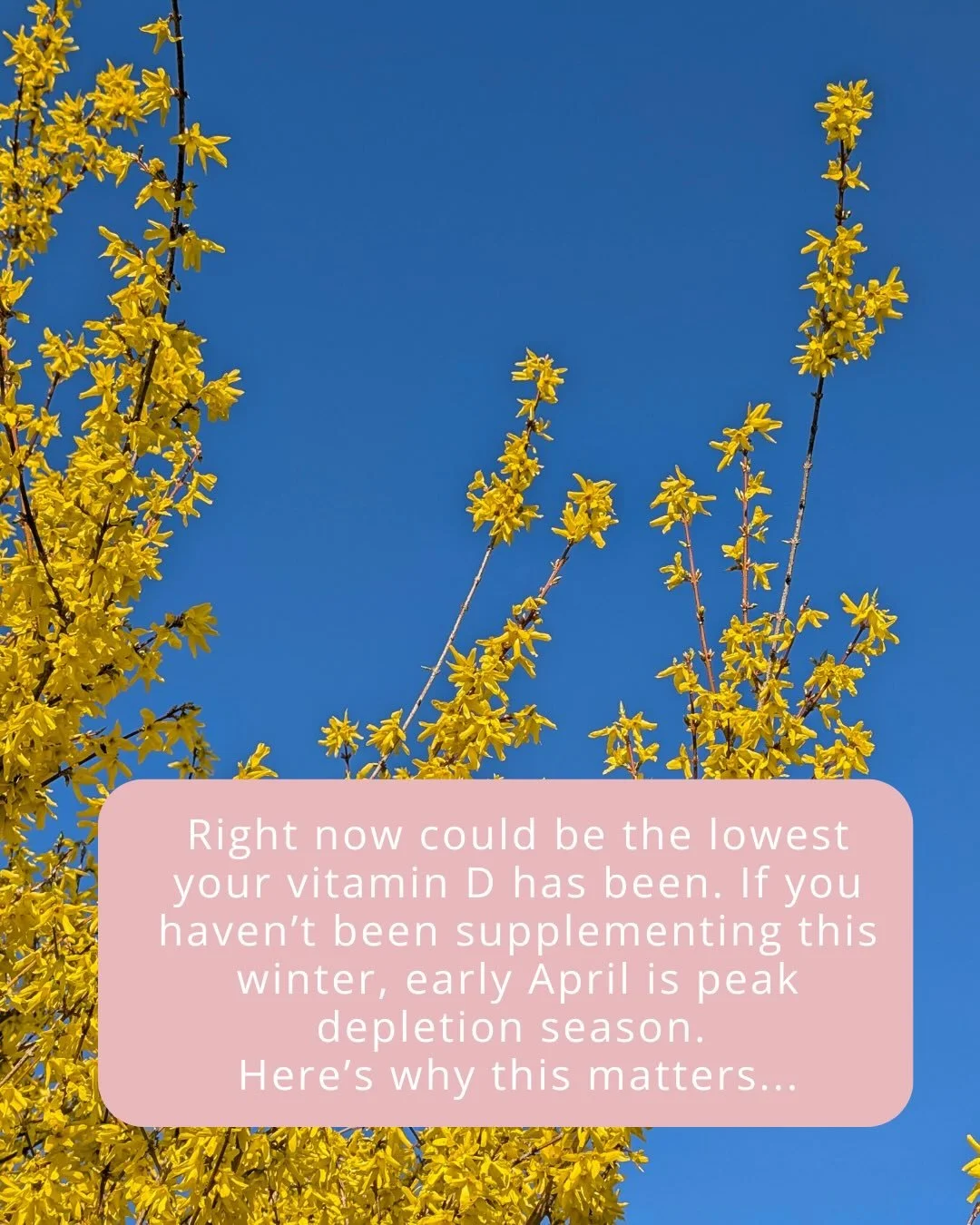 So you&rsquo;ve read all of this and you&rsquo;re thinking&hellip; but do I actually need to supplement? 🙋🏻&zwj;♀️⁣⁣
⁣⁣
Honestly? The only way to know for sure is to test.⁣⁣
⁣⁣
So many women in midlife are walking around with low vitamin D and have