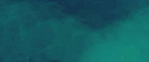 Copy of MLM Colour headers (6).png