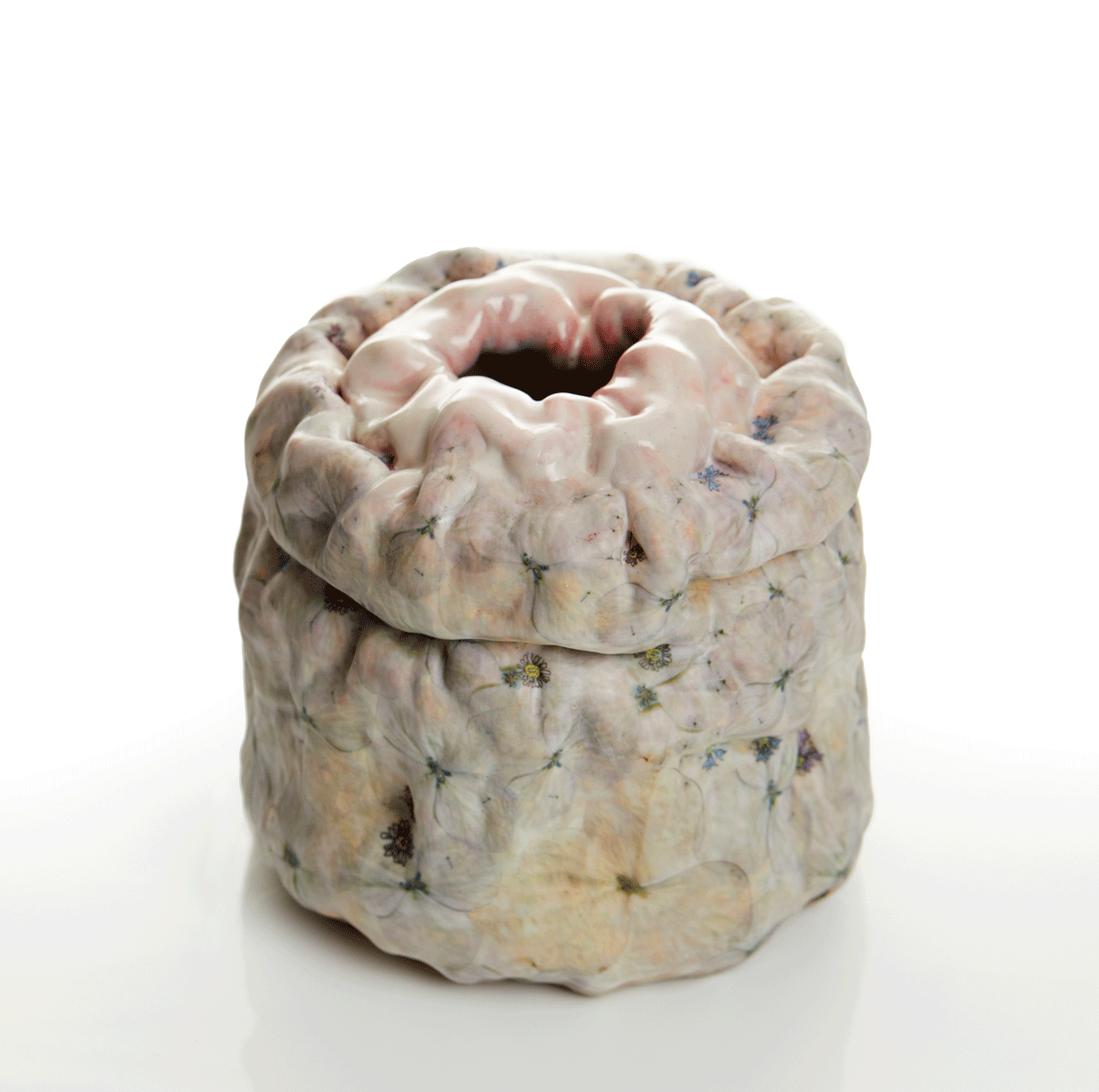 Squashed Shinymouth with Hydrangeas