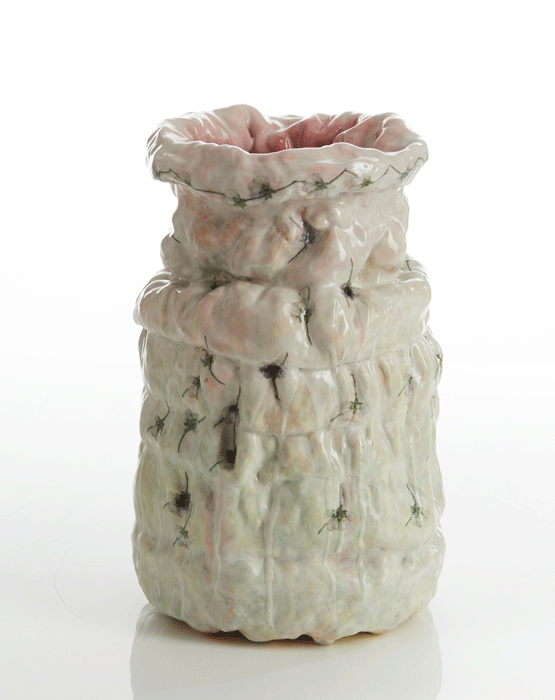 Tall Redmouth with White Daisies