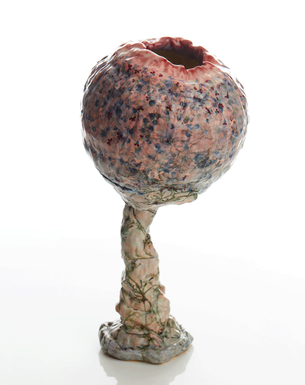 Stalked Chrysanthemum Pod 