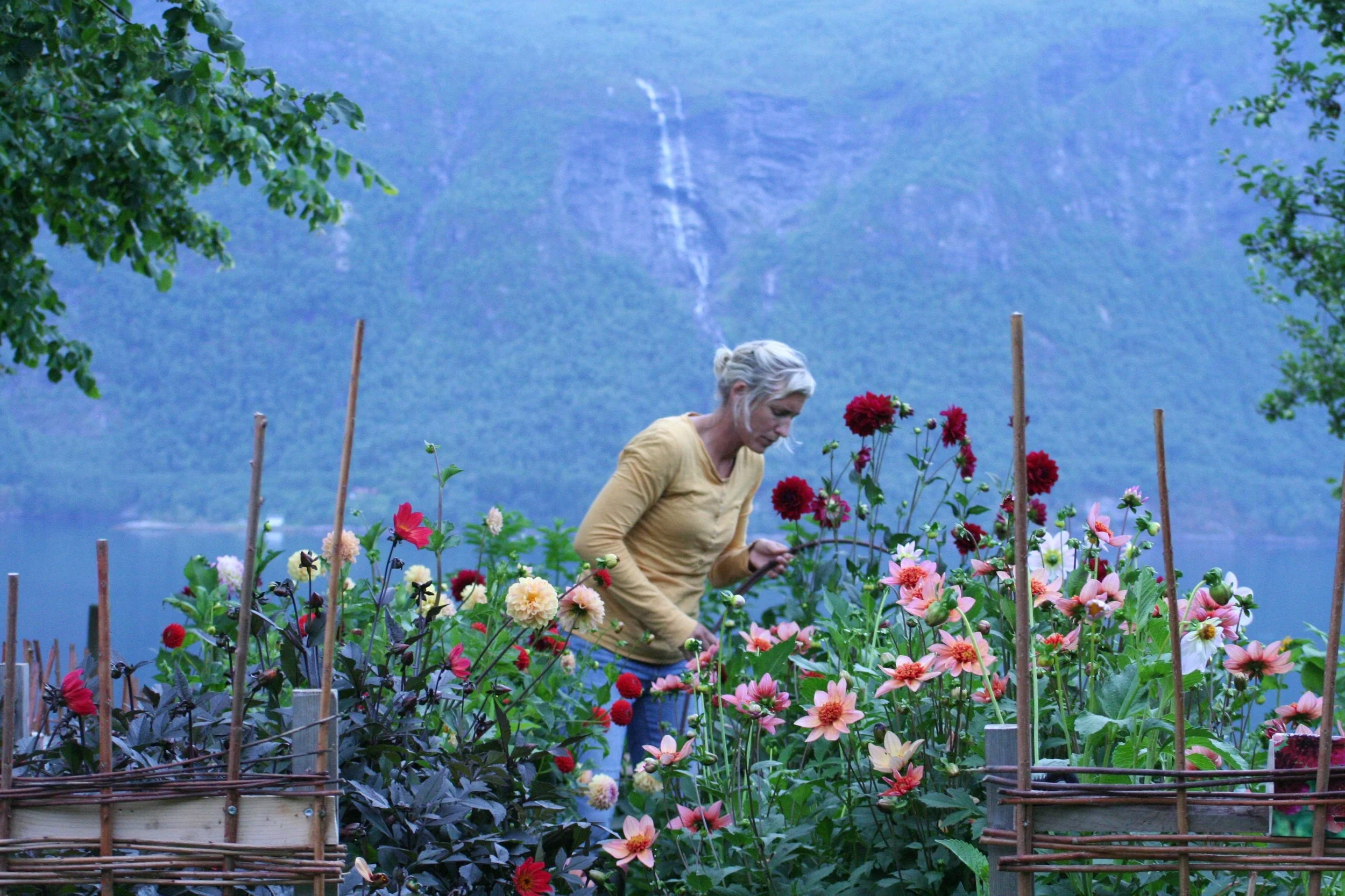 2018-08-02 20.29.40.JPG