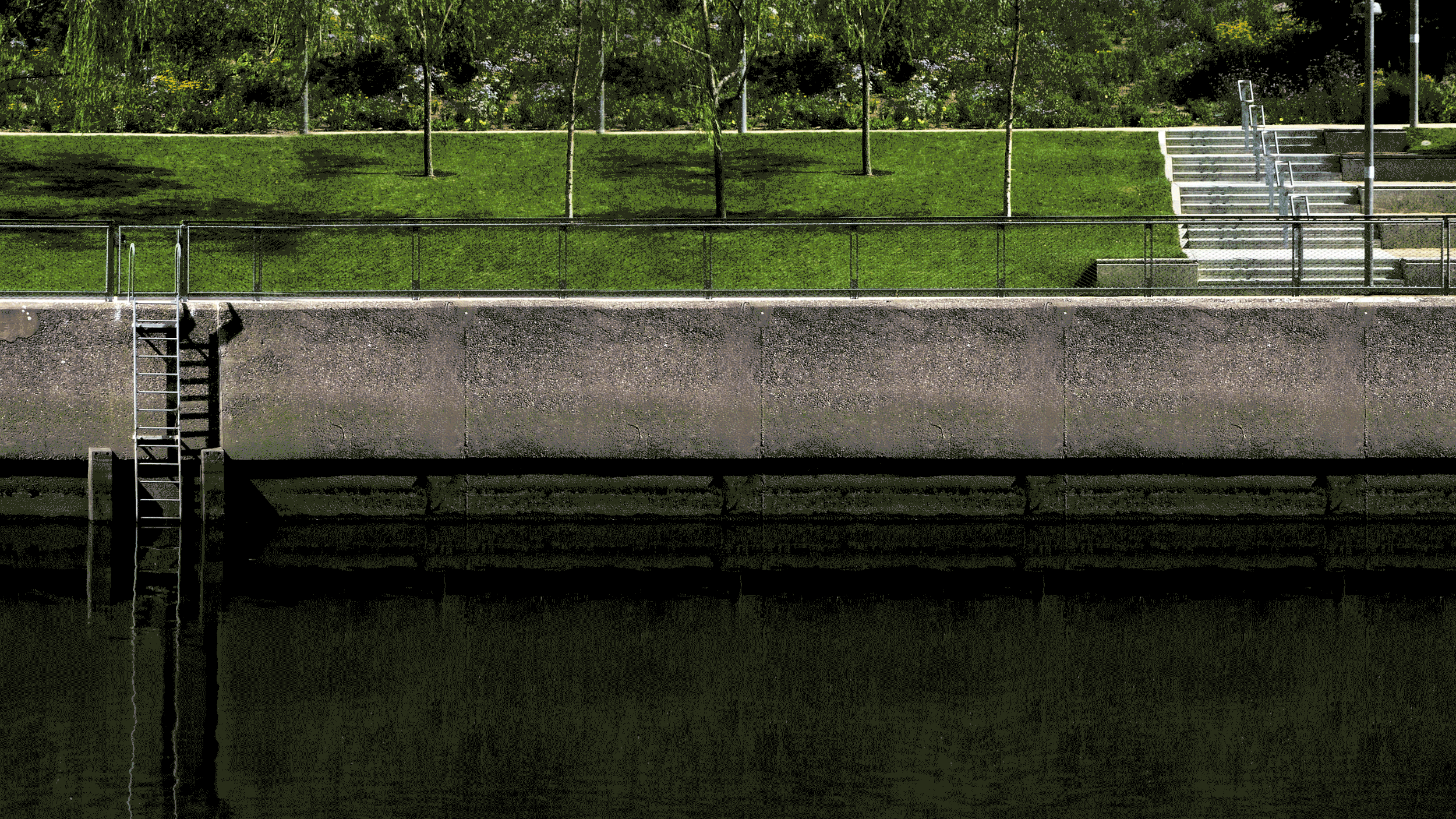 adapt.gif