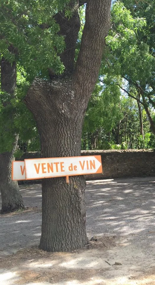 vente vin.jpg