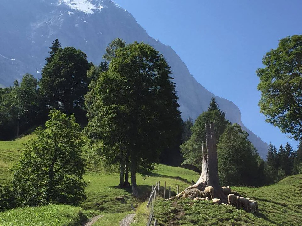 Grindelwald, Switzerland