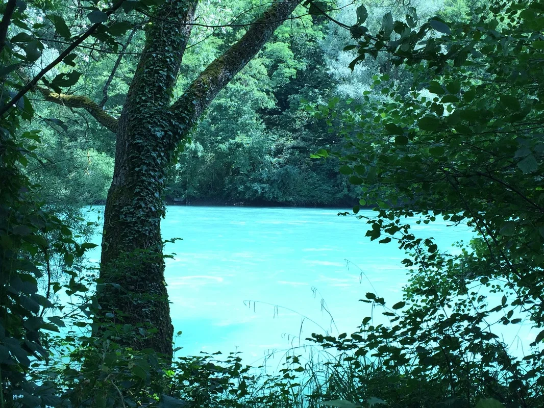 The Rhone River on a sunny day. Simply magnificent!
