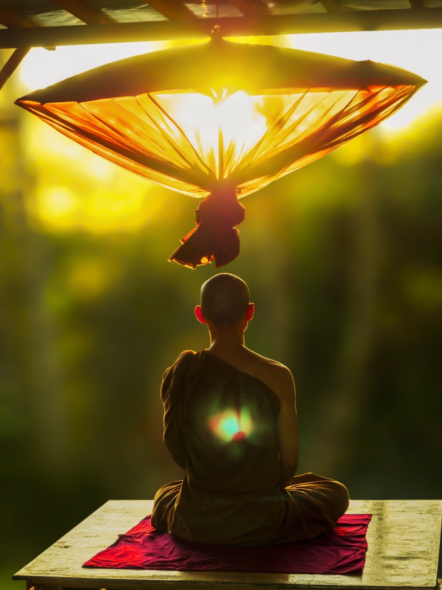 quantum-meditation.jpg