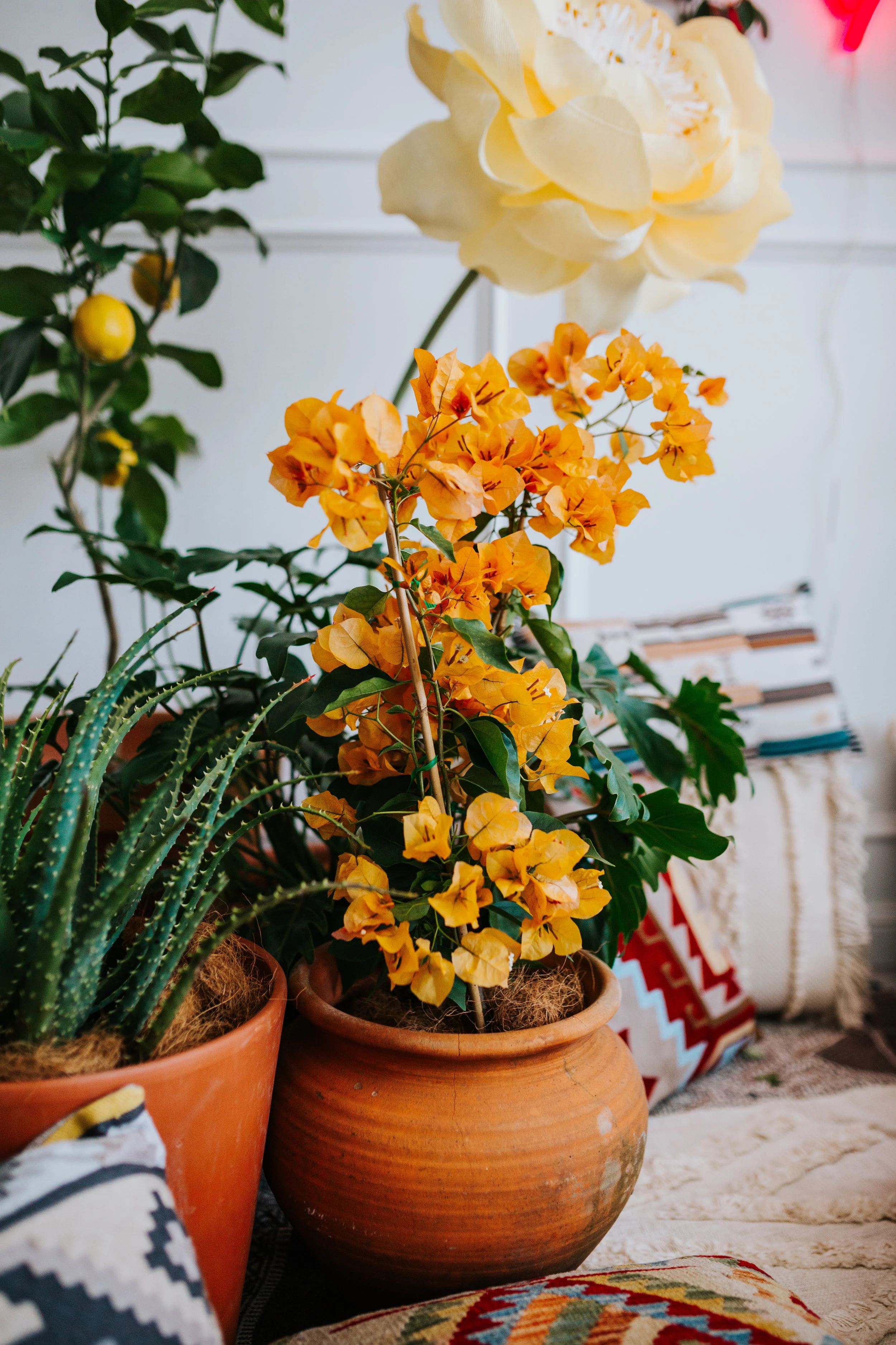 SecretGarden-StyledShoot-38.jpg