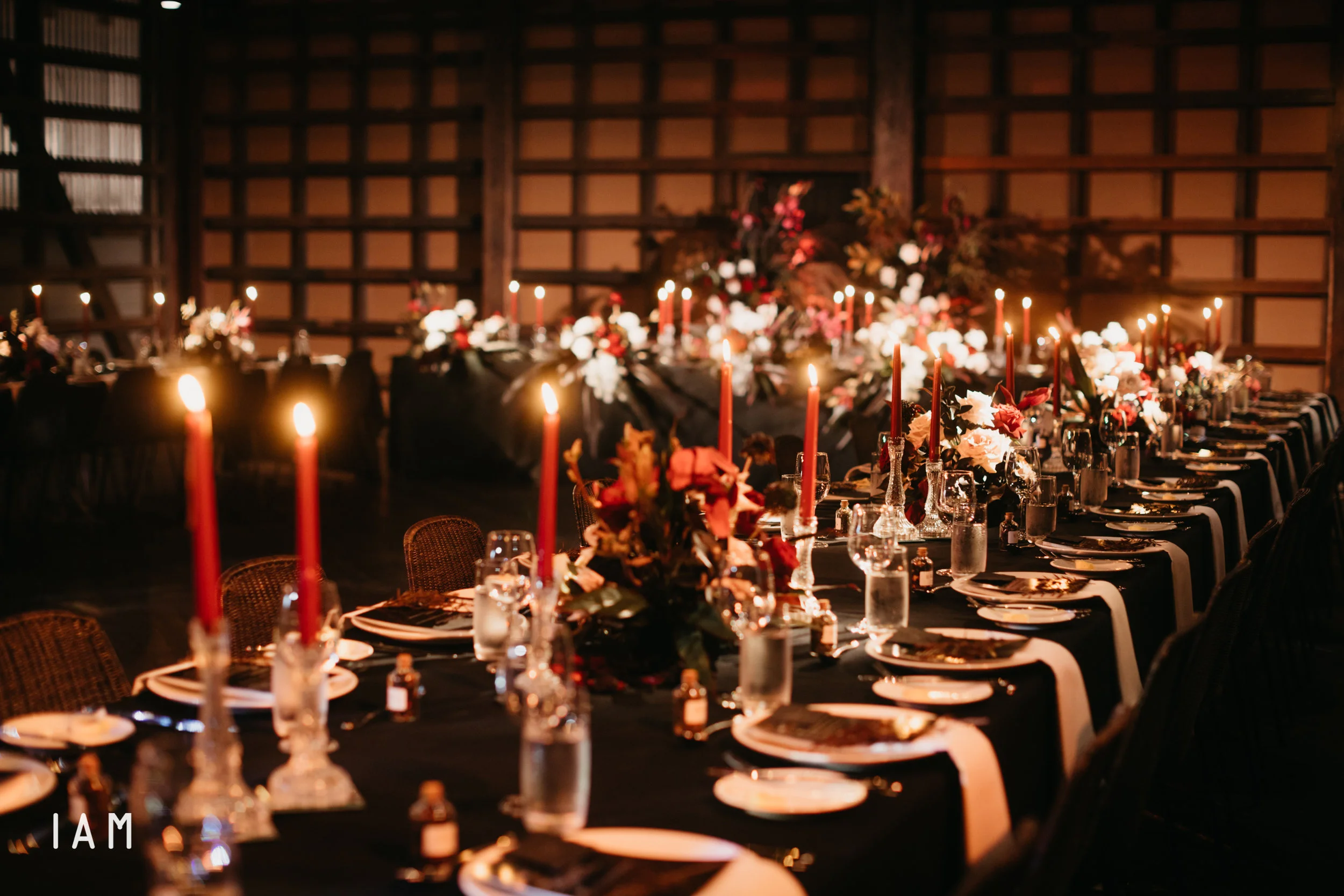 CHRIS + BAILAN, OVOLO WOOLLOOMOOLOO