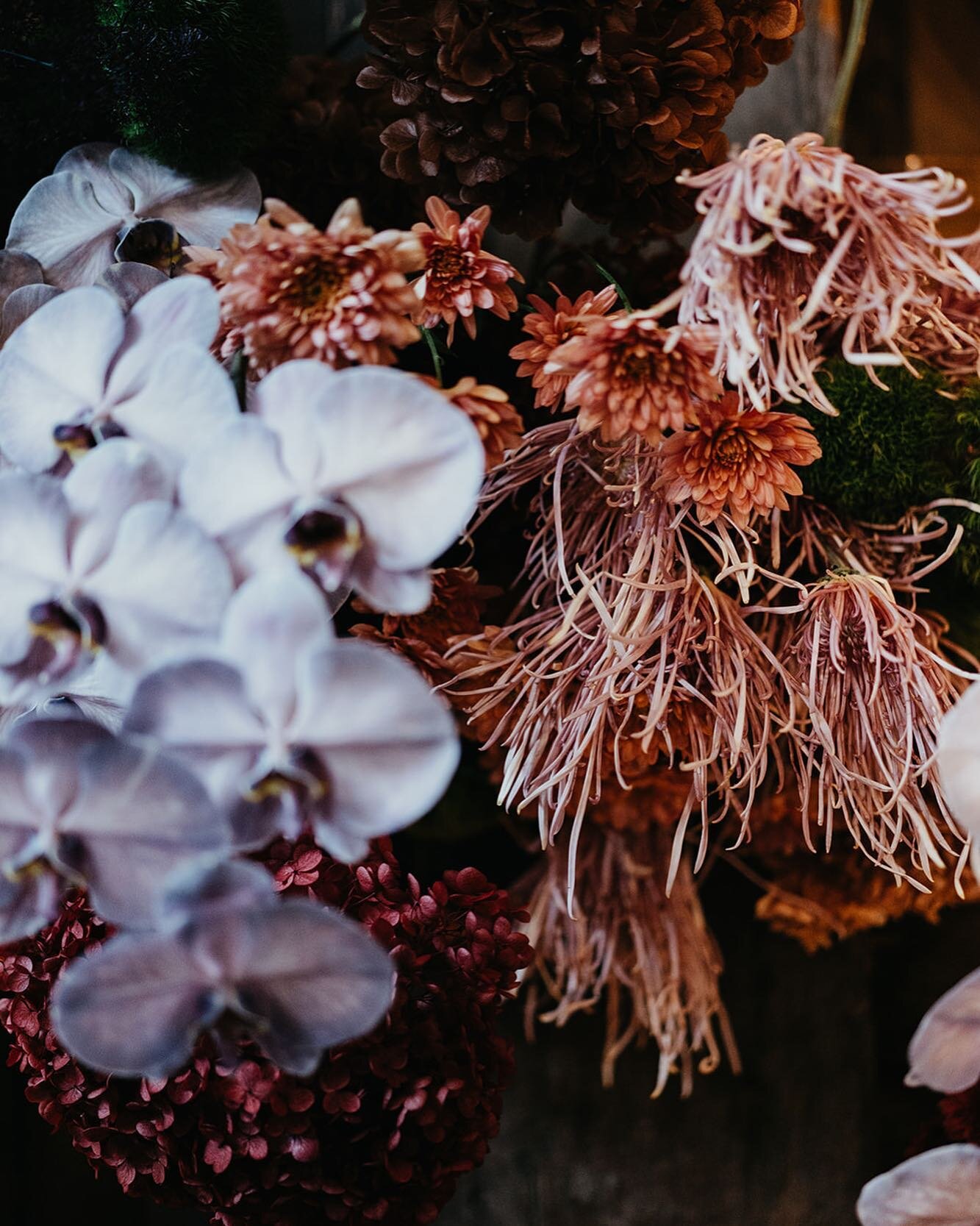 Loving this funky color palette, perfectly captured by the amazing @lostinadazephotoco at the annual Ovolo Showcase. 

Team on board 🎉
Photographer @lostinadazephotoco 
Venue @ovoloweddings 
Stylist &amp; florist @upsidedownevents 
HMUA @liv_lundeli