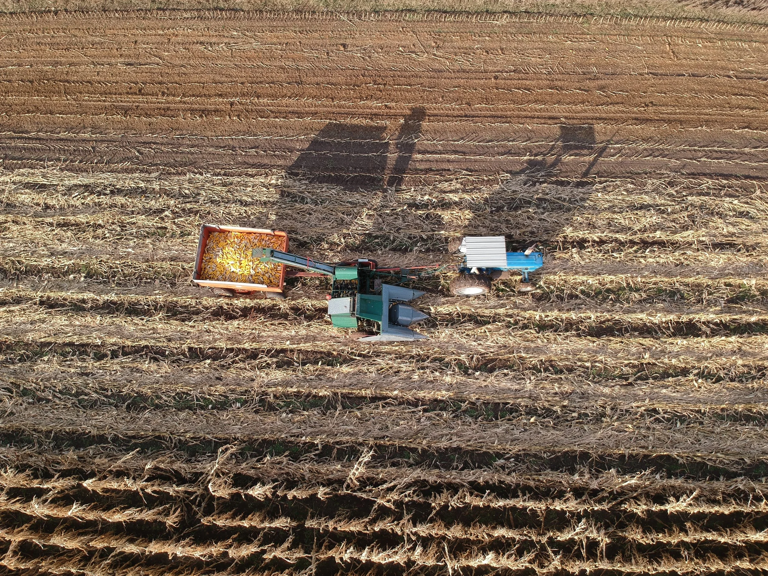 DJI_0187.JPG