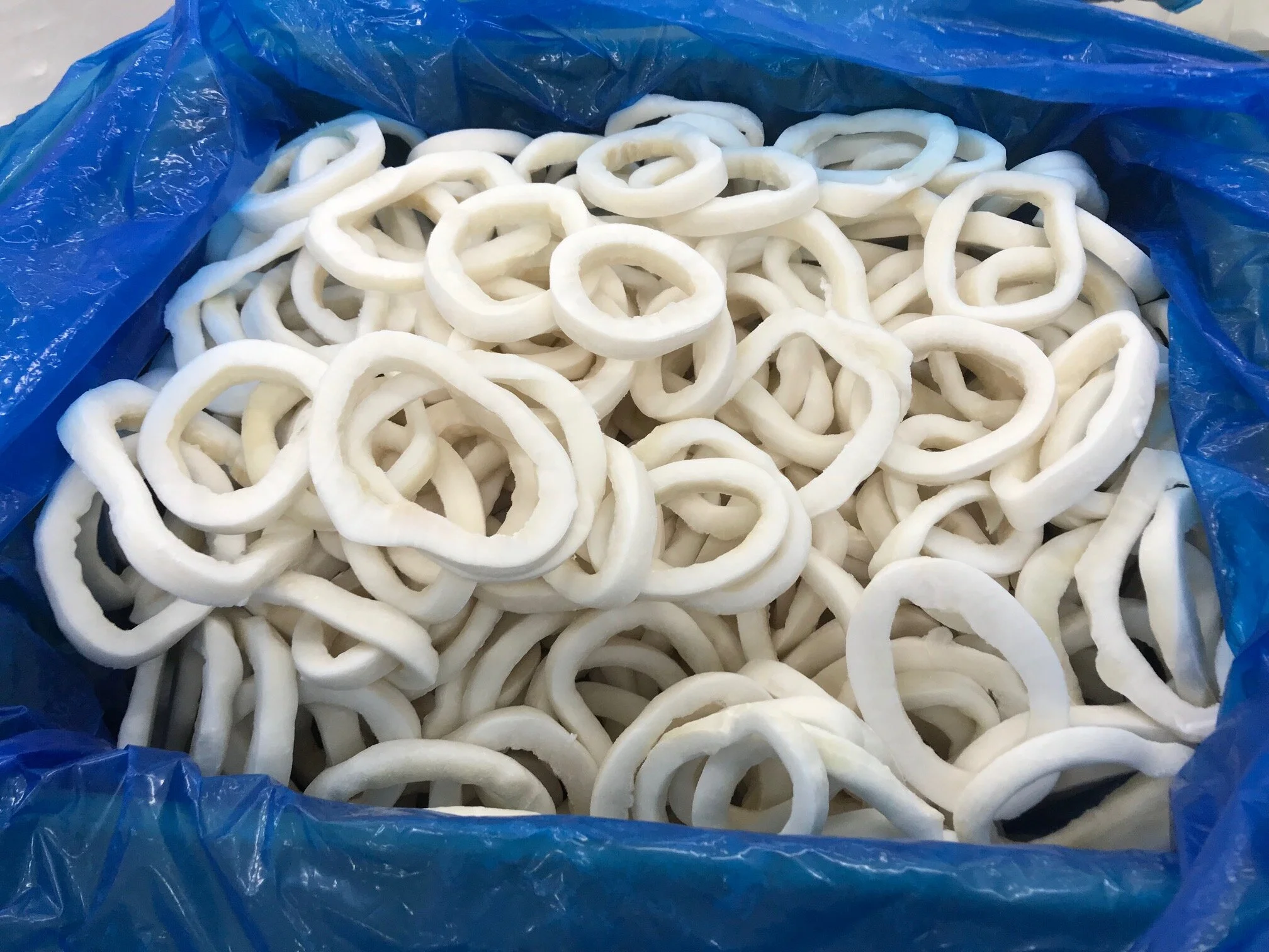 Squid Rings 8.jpeg