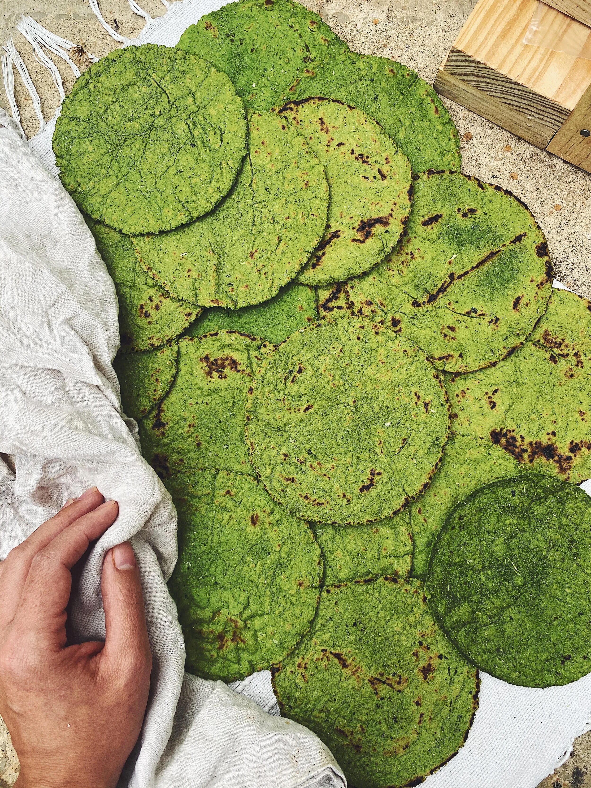 Homemade Kale Tortillas