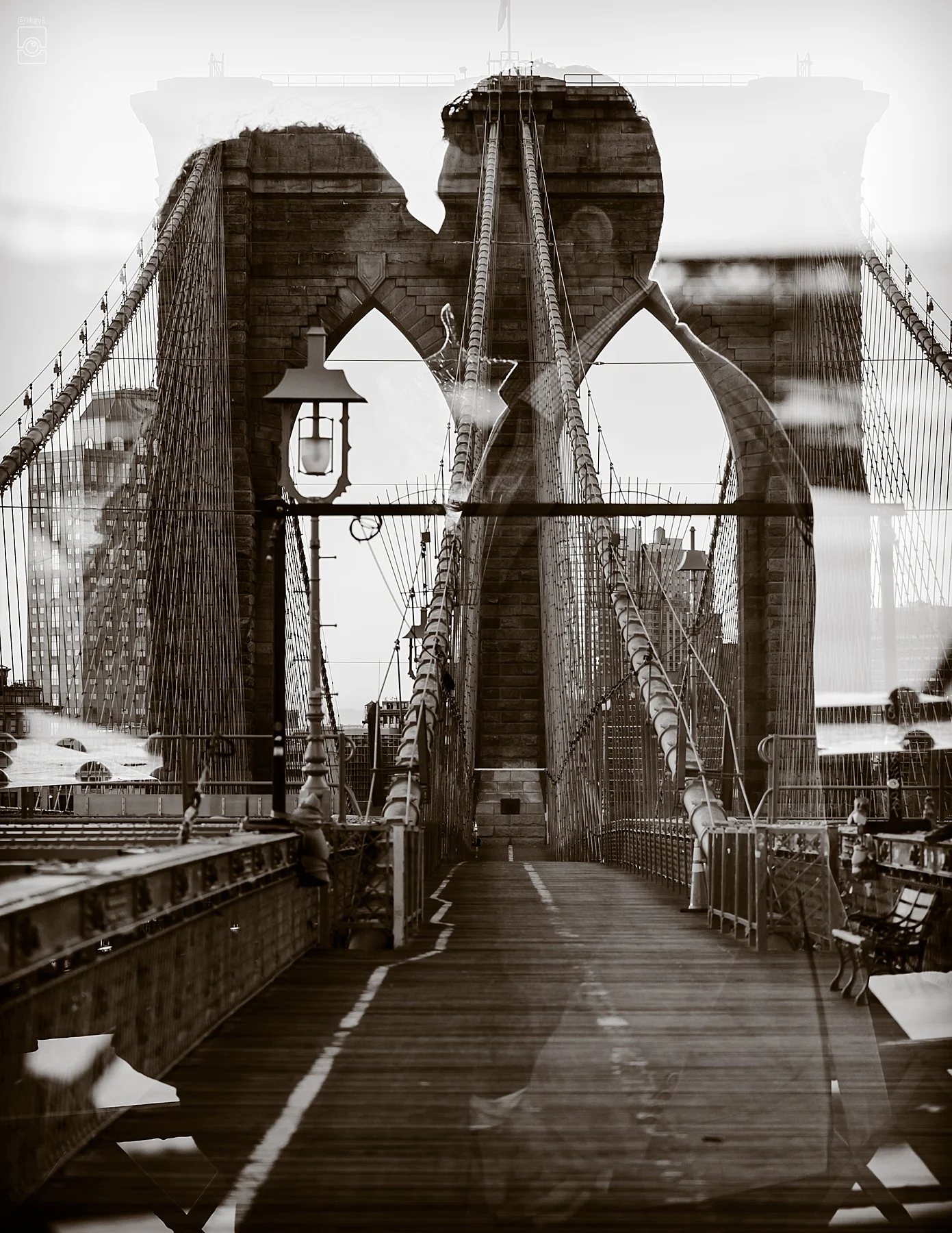 DSC_0282Brooklyn_NYC©HilaryBPhotography_WEB.jpg