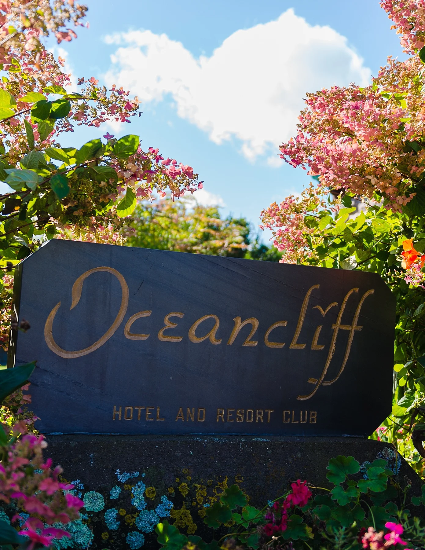002DevinHBP_9130OceanCliff_Newport_RI©HilaryBPhotography_WEB.jpg