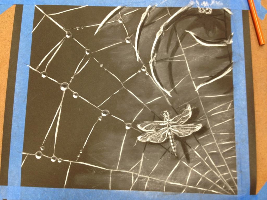 2012-05 spider web_1024.jpg