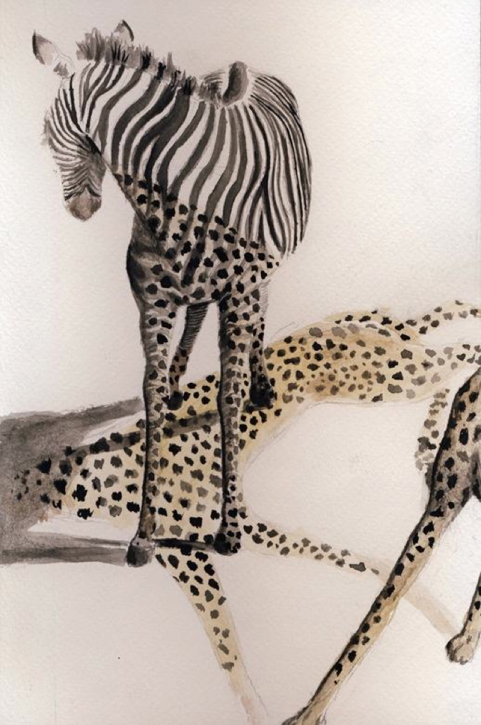 2012-05 zebra - Copy_1024.jpg