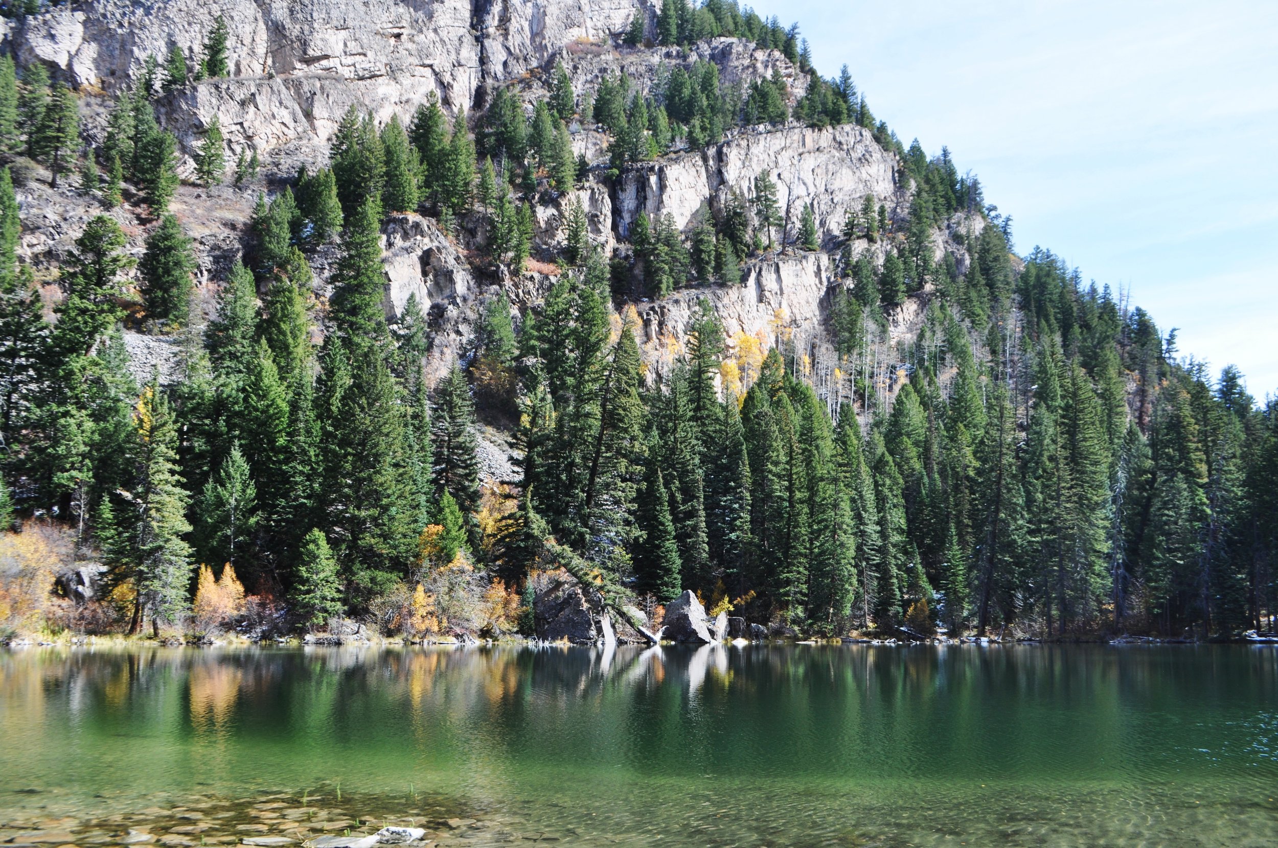 DSC_0065.jpg