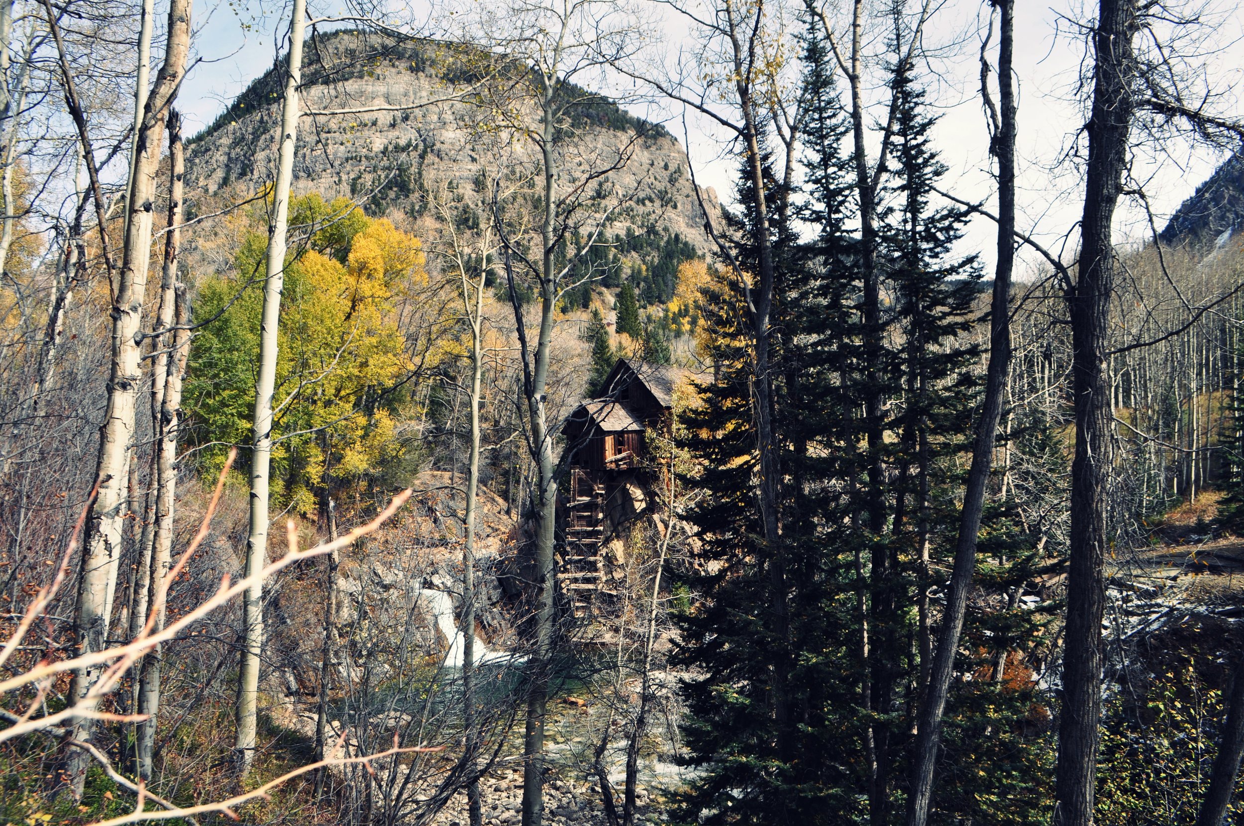DSC_0078.jpg