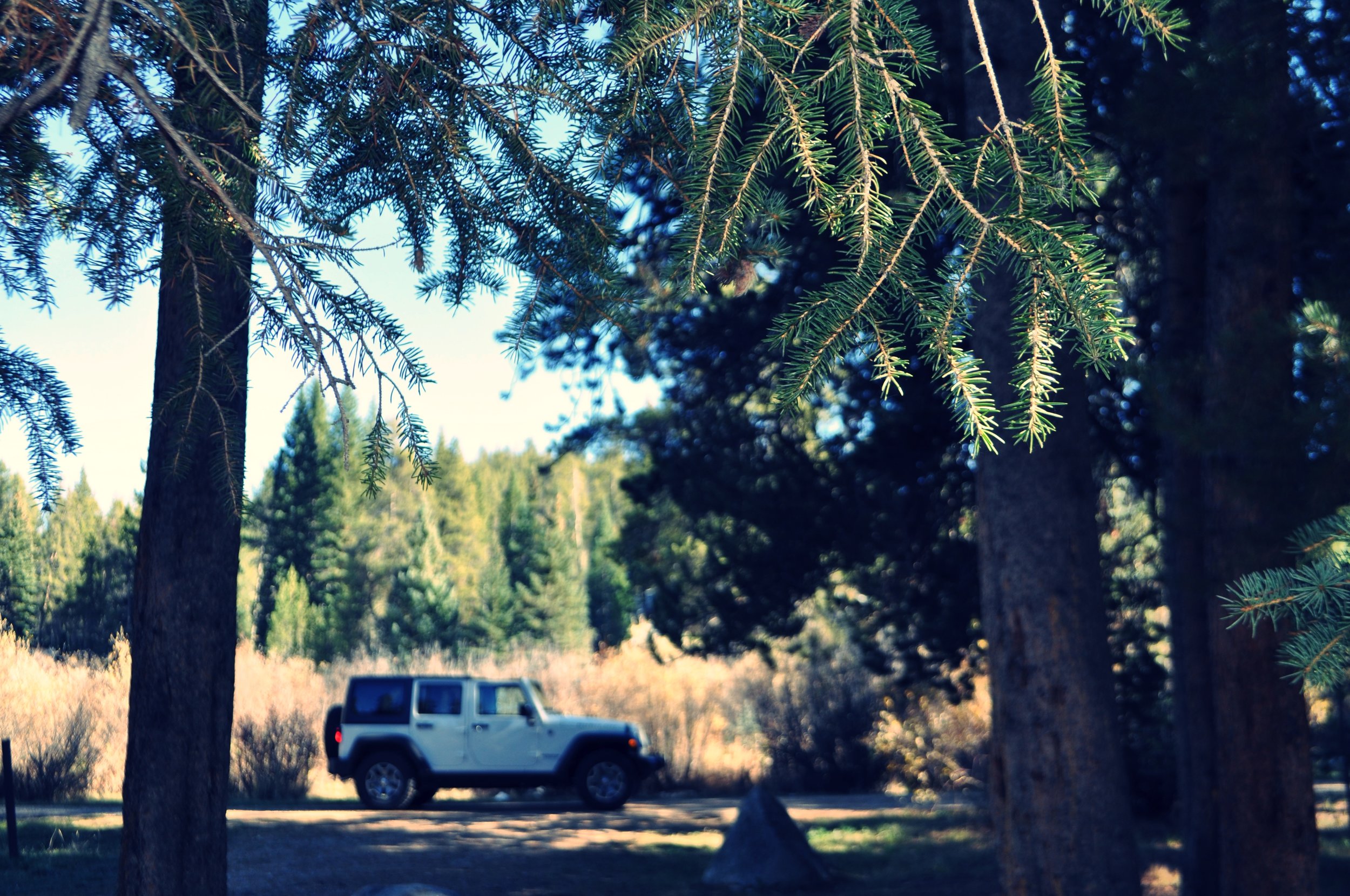 DSC_0024.jpg