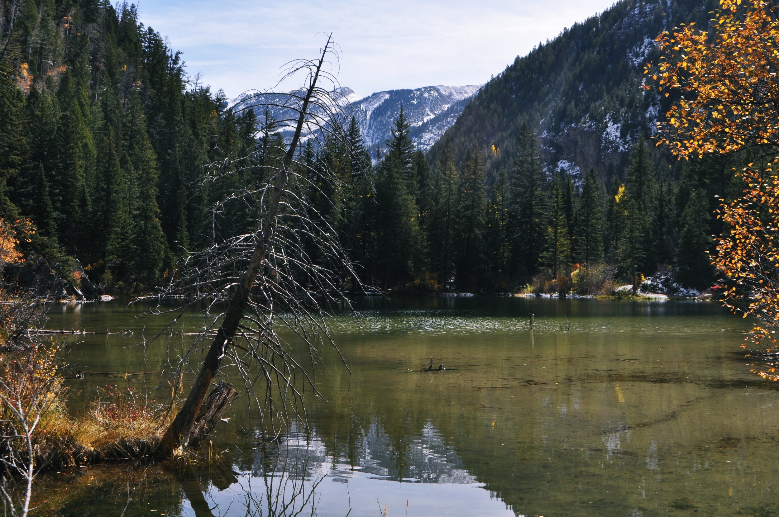 DSC_0064.jpg