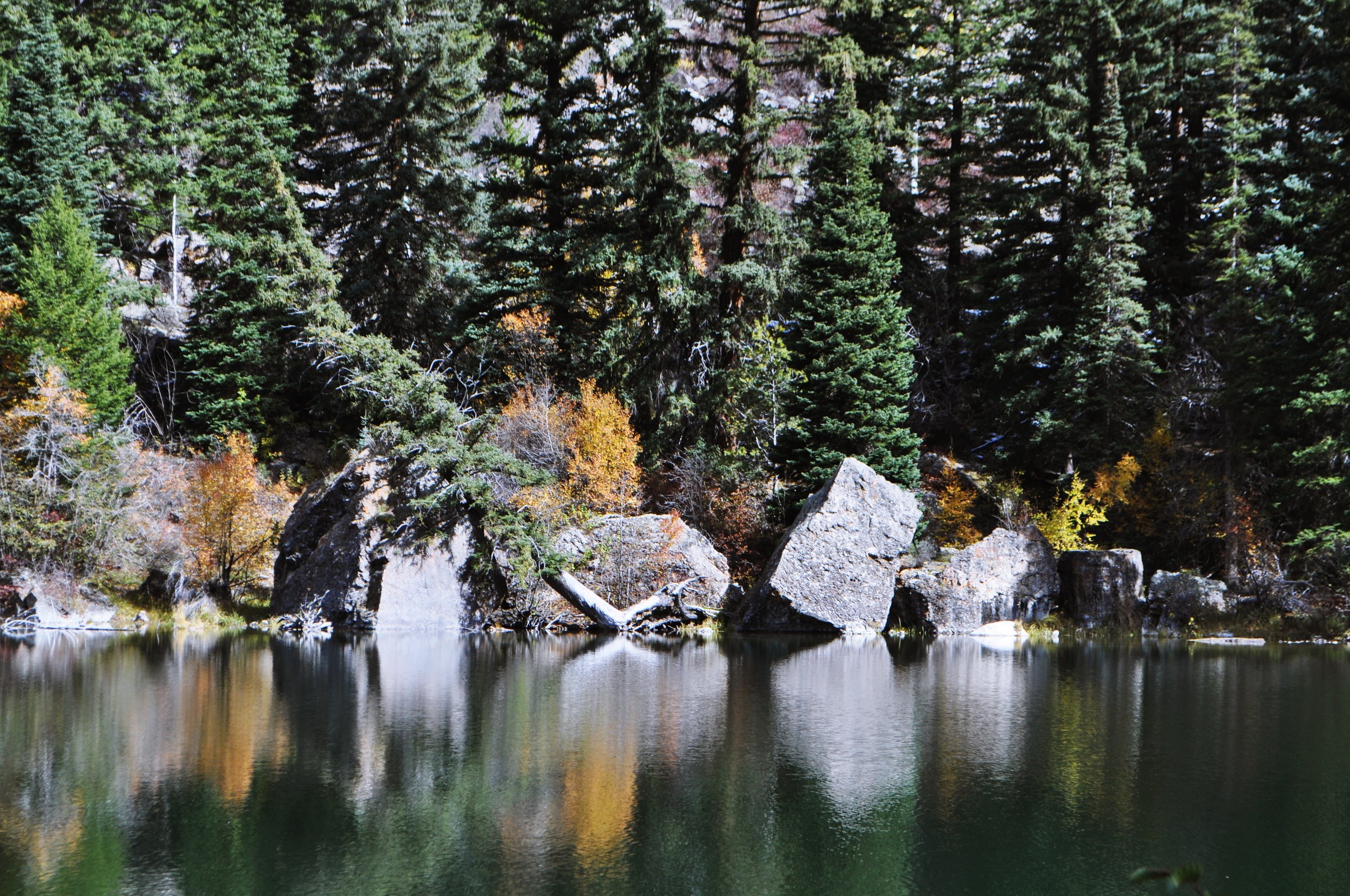 DSC_0067.jpg