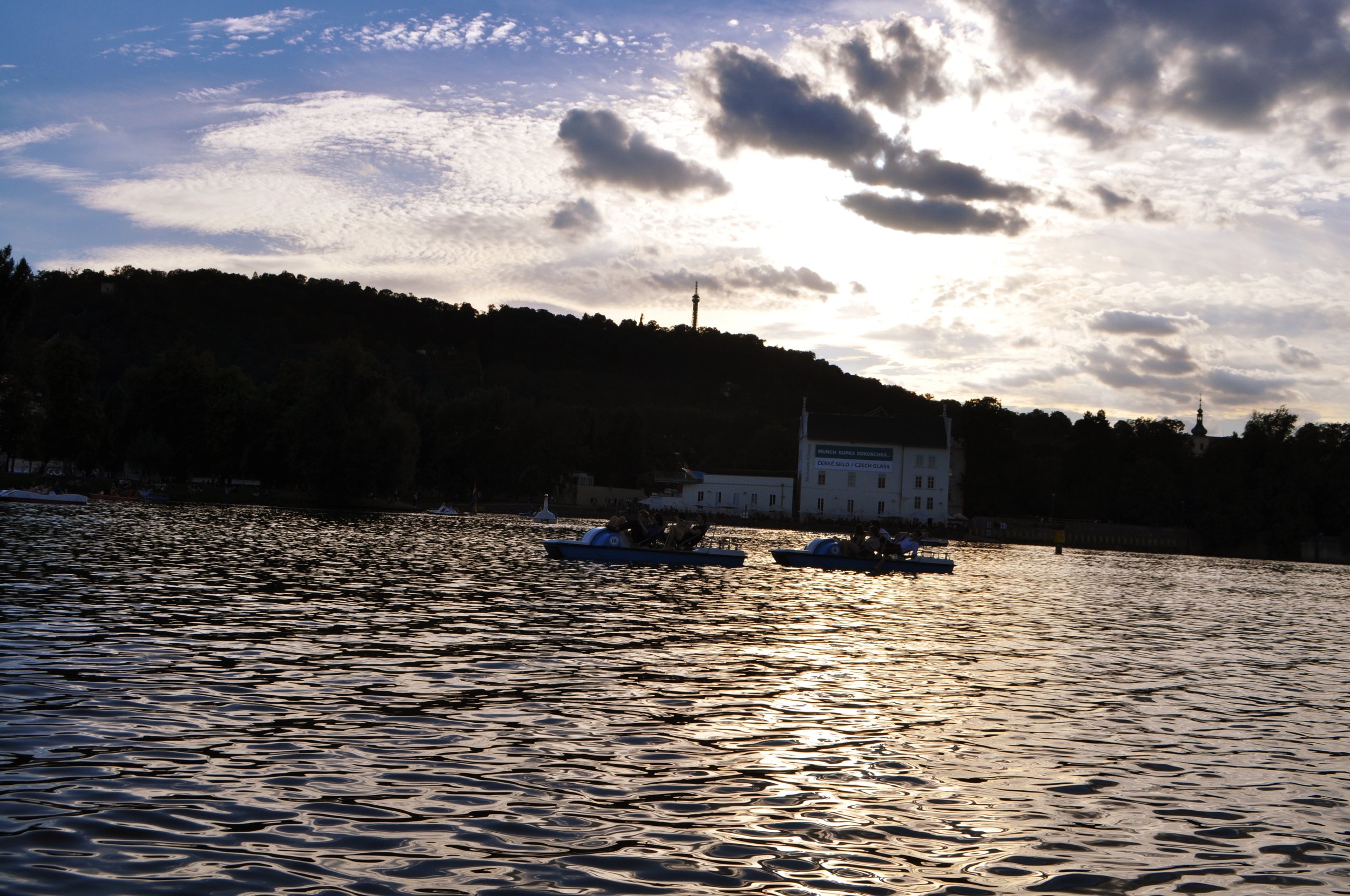 DSC_0204.jpg