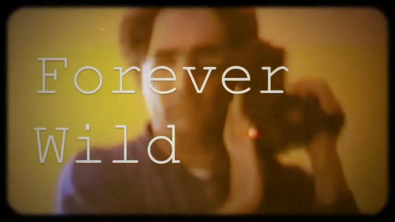 Forever Wild - Lyric Video