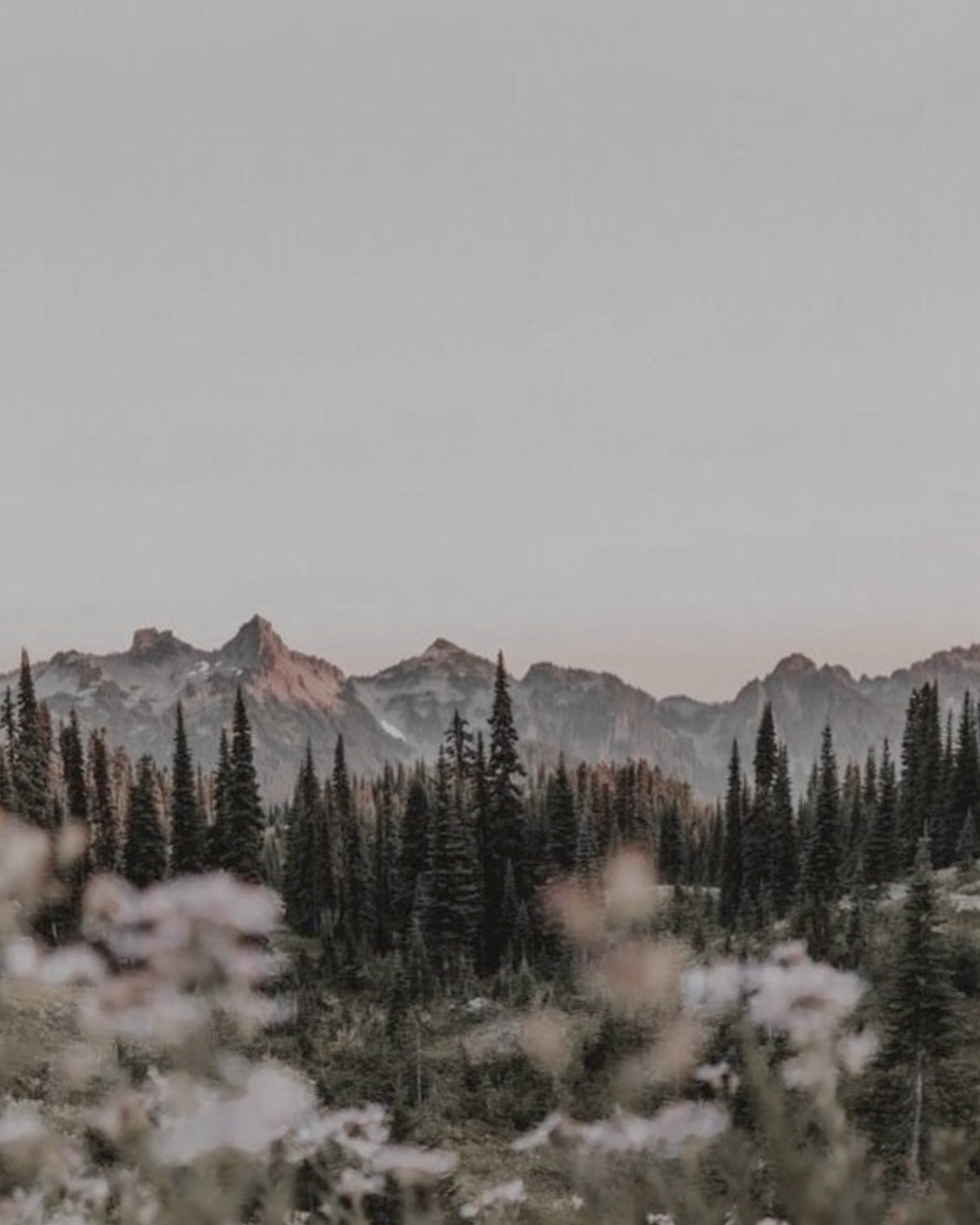 Our jewelry is handcrafted in Denver, CO with the highest quality &amp; ethically sourced materials. Beautiful pieces just like these beautiful mountains⛰️ Shop now through the link in our bio!

#jewelry #necklace #necklaces #ring #rings #bracelets #