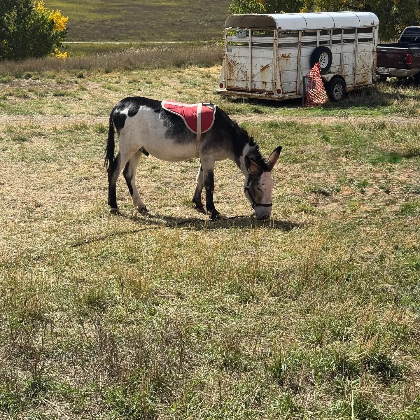 All the fall things this weekend, I&rsquo;m not sure I&rsquo;m ready for cold temps but I could stay in fall mode all year 🍂.