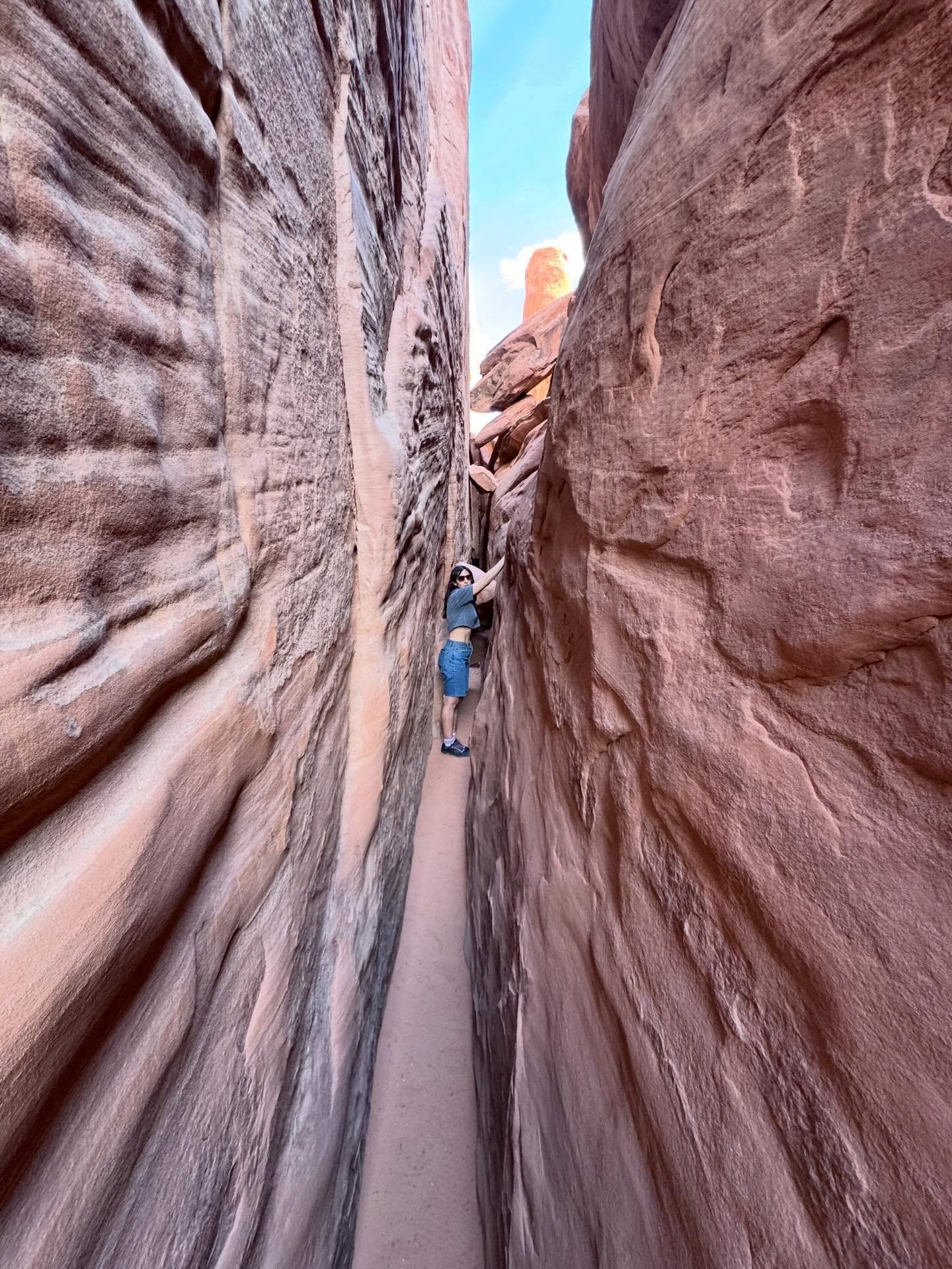 What can I say, our family likes rocks 🪨 🪨