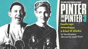 PINTER3.2.jpg