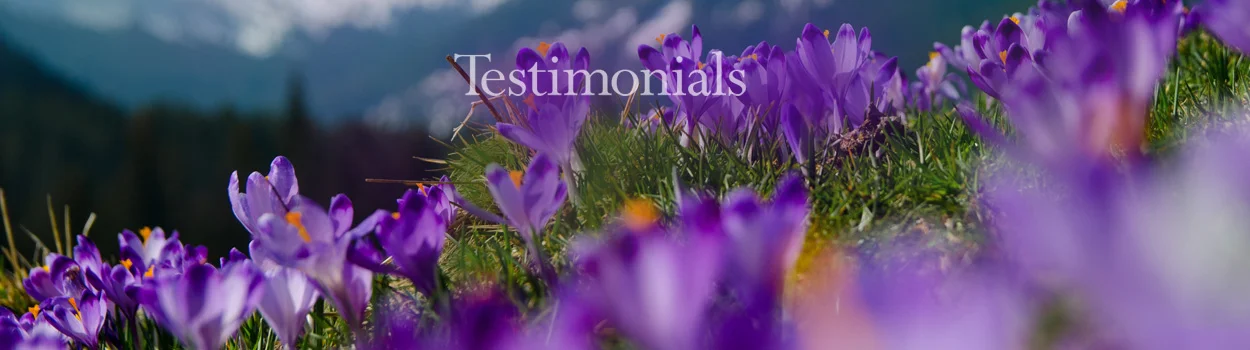 testimonials-for-Dr-Nancy-Mercer-ND.jpg