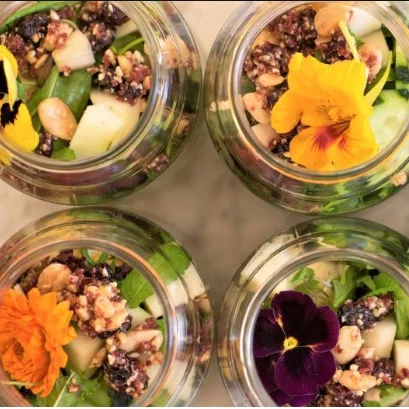 The Bamboo Body Nutrition Seminar