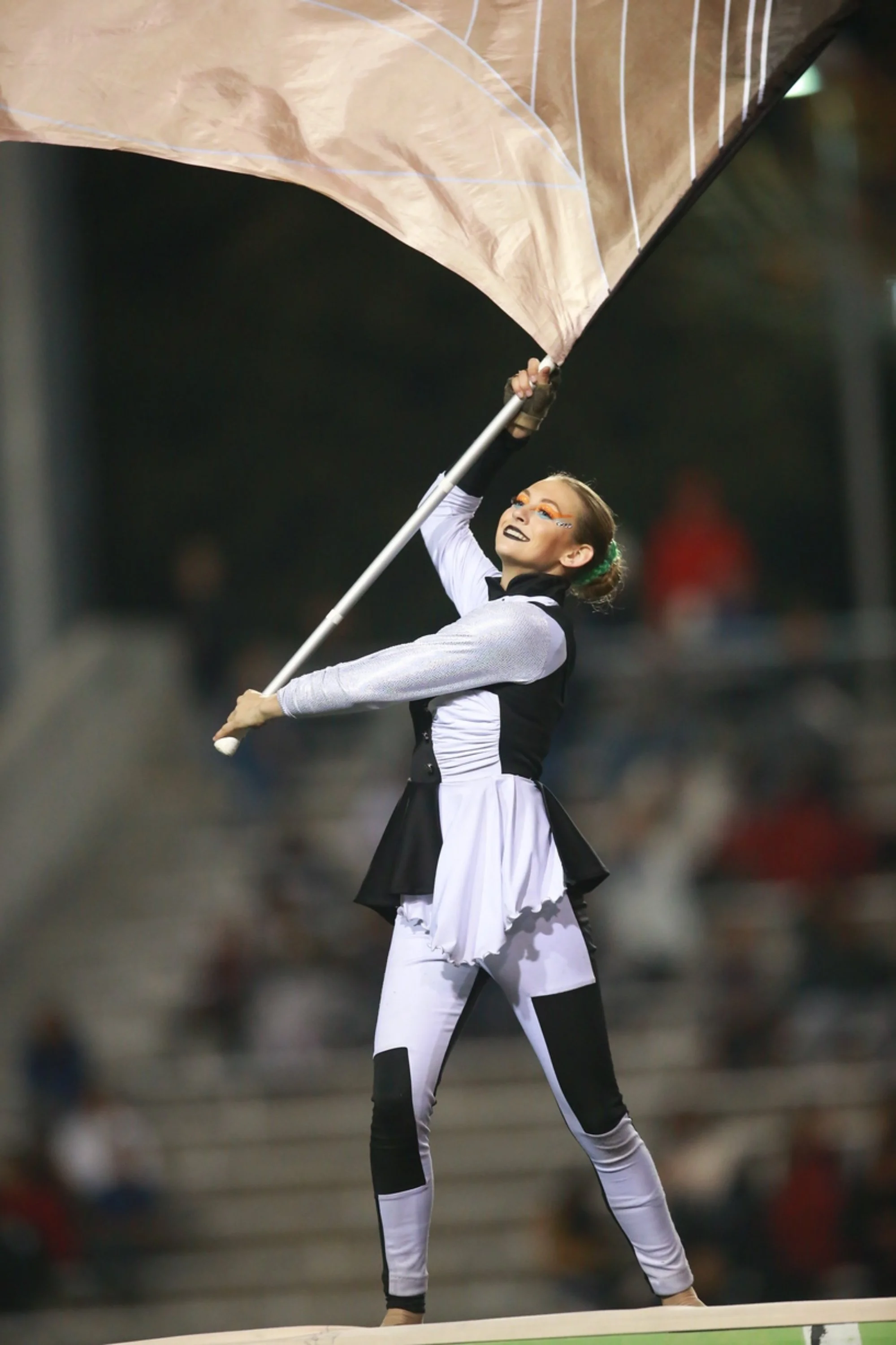 Halcyon Color Guard