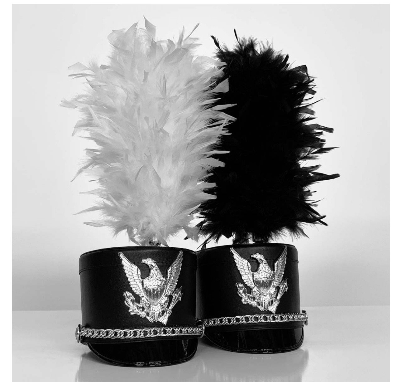 Plumes & Cases - DSI.jpeg
