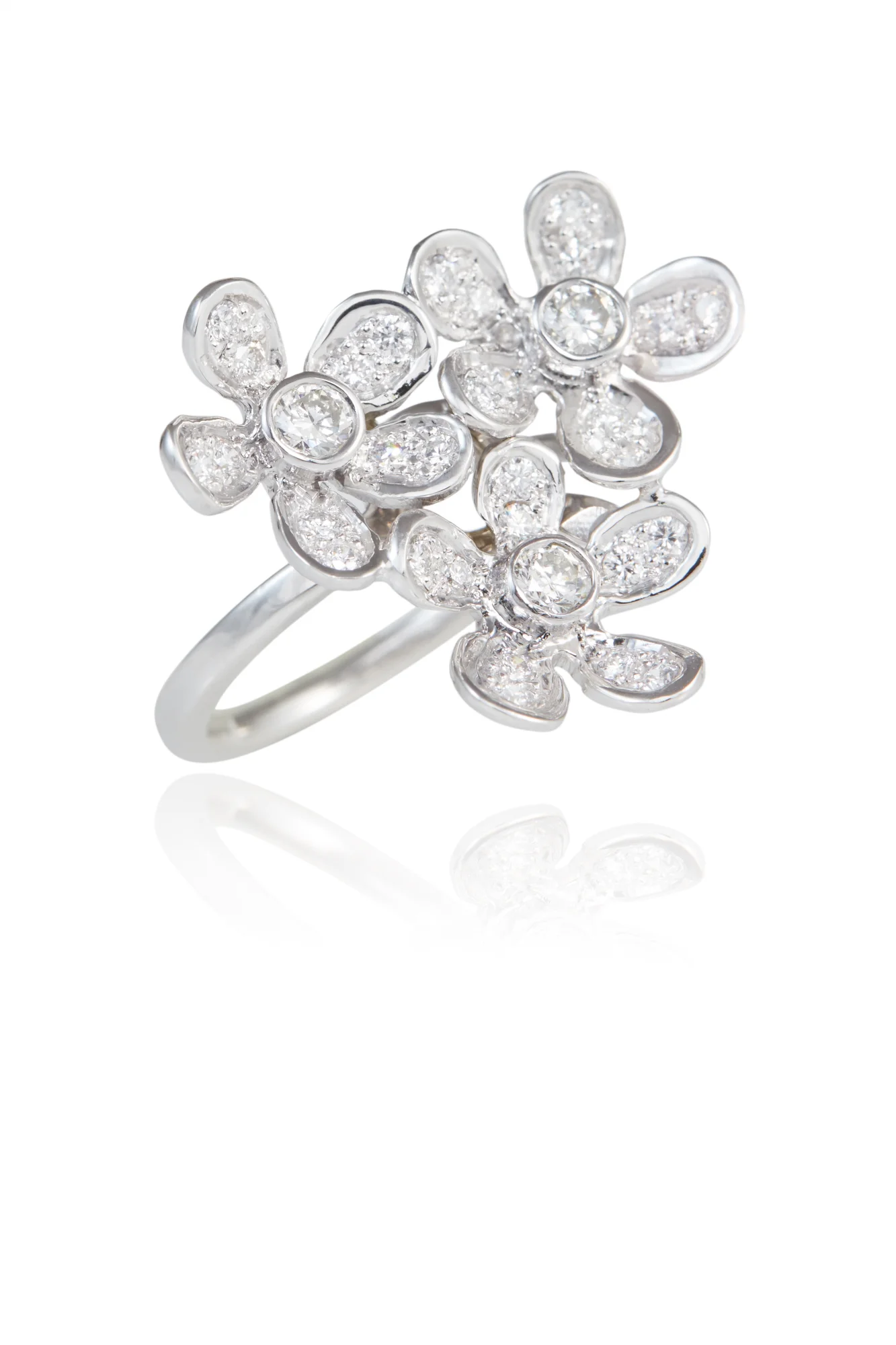42_Henrietta_Flower_Cluster_Ring_12012_SCREEN_72dpi_2000px_sRGB.jpg