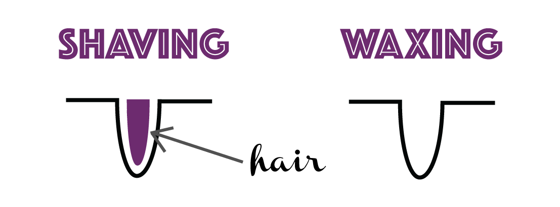 Body Waxing Vs Shaving Twelve27 Salon