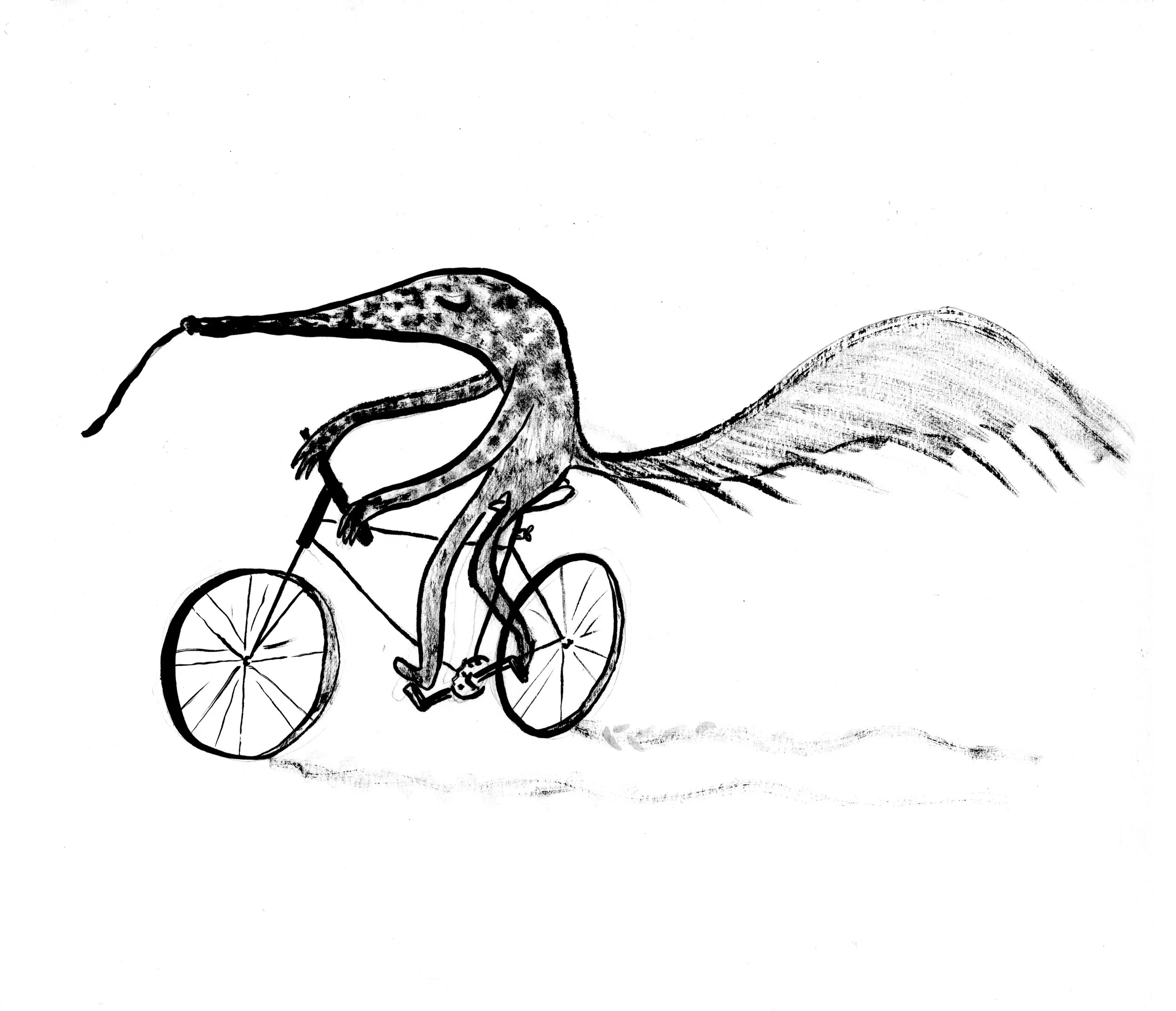 anteater on a bike .jpeg