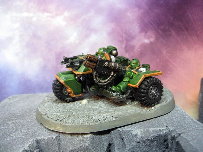 dh_salamanders05.jpg