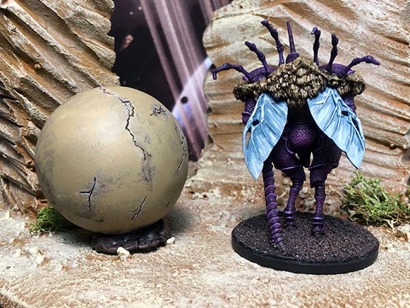 KDM_dungbeetle_02.jpg